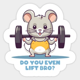 Do You Even Lift Bro - Training - Work Out Sticker